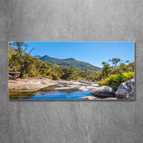 Foto en cristal de alta calidad con impresión uv horizontal Río en el bosque