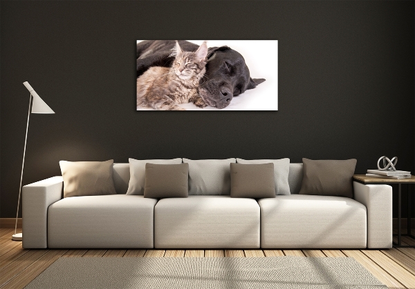 Impresión en cristal con acabado brillante horizontal Perro con gato
