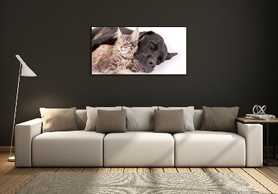 Impresión en cristal con acabado brillante horizontal Perro con gato