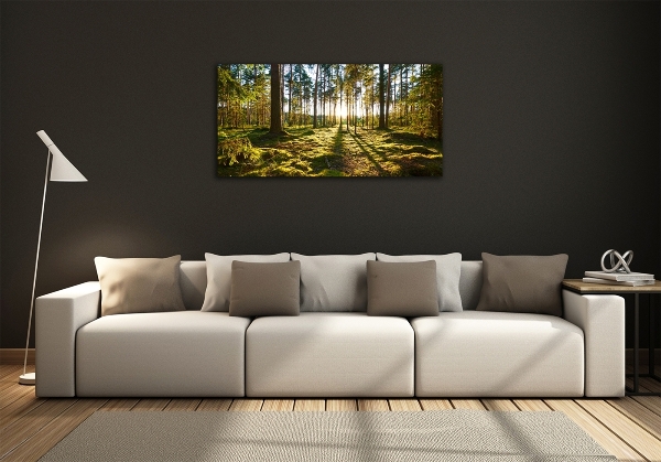 Foto en cristal de alta calidad con impresión uv horizontal bosque de pinos