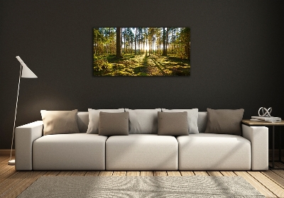 Foto en cristal de alta calidad con impresión uv horizontal bosque de pinos