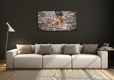 Foto en cristal de alta calidad con impresión uv horizontal Ardilla