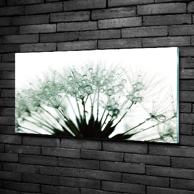 Impresión en cristal con acabado brillante horizontal semillas de diente de león