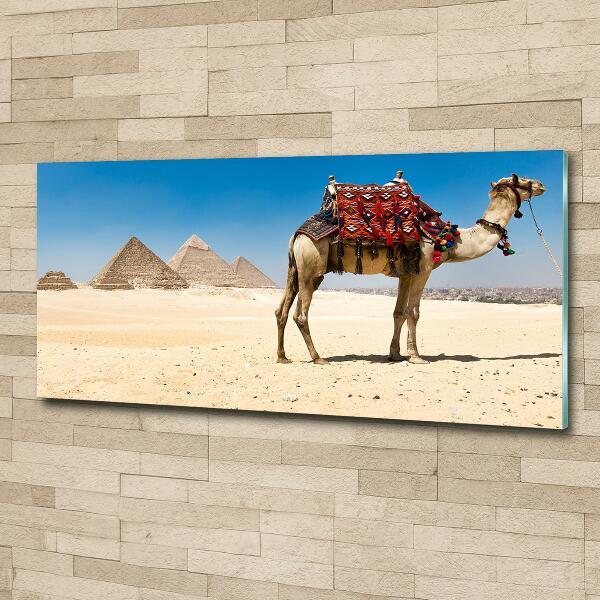 Cuadro decorativo de vidrio para salón horizontal Camello en El Cairo