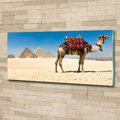 Cuadro decorativo de vidrio para salón horizontal Camello en El Cairo