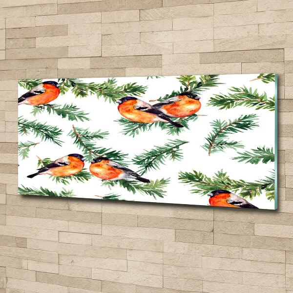 Cuadro decorativo de vidrio para salón horizontal Petirrojo en una conífera
