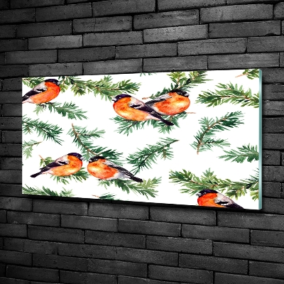 Cuadro decorativo de vidrio para salón horizontal Petirrojo en una conífera
