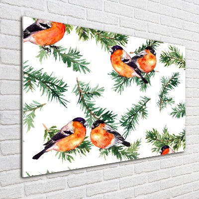 Cuadro decorativo de vidrio para salón horizontal Petirrojo en una conífera