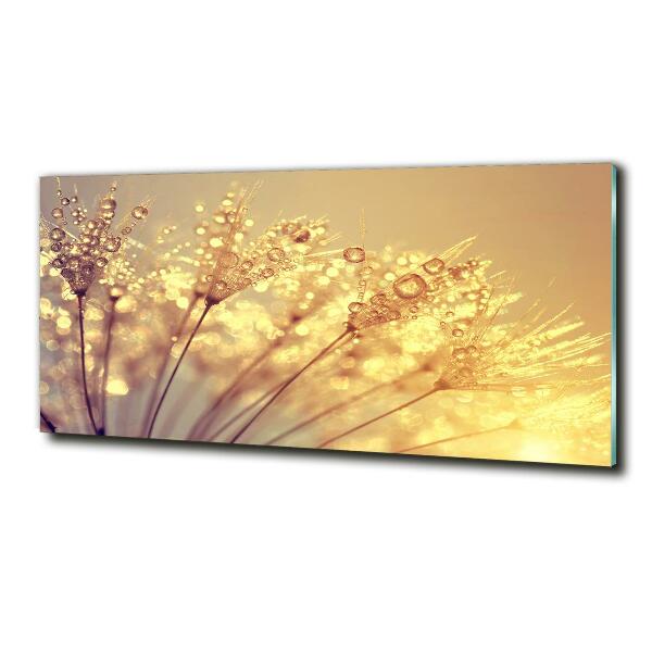 Cuadro decorativo de vidrio para salón horizontal semillas de diente de león