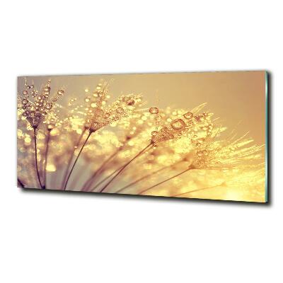 Cuadro decorativo de vidrio para salón horizontal semillas de diente de león