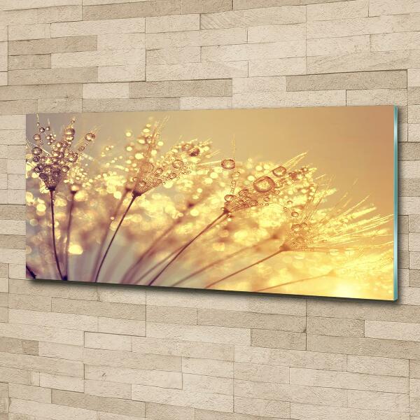 Cuadro decorativo de vidrio para salón horizontal semillas de diente de león