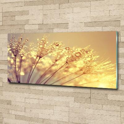 Cuadro decorativo de vidrio para salón horizontal semillas de diente de león