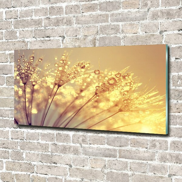 Cuadro decorativo de vidrio para salón horizontal semillas de diente de león