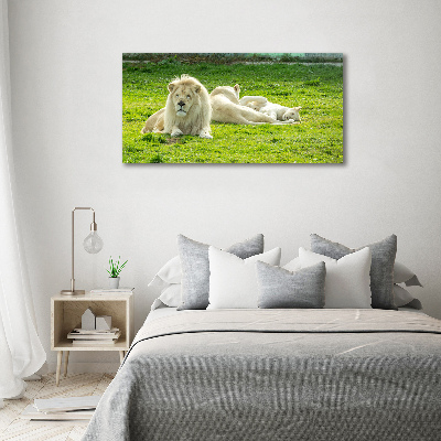 Foto en cristal de alta calidad con impresión uv horizontal Leones beige
