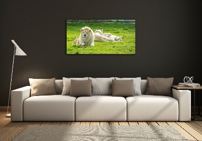 Foto en cristal de alta calidad con impresión uv horizontal Leones beige