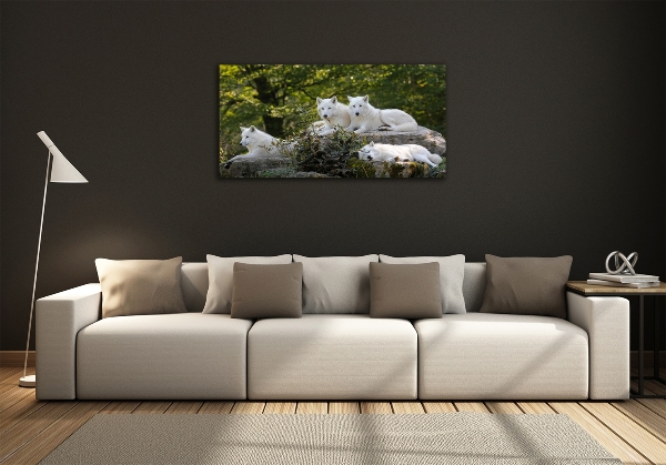 Cuadro de cristal templado moderno horizontal Los lobos blancos rockean