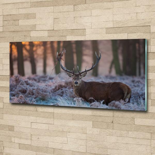 Impresión en cristal con acabado brillante horizontal Ciervos al amanecer