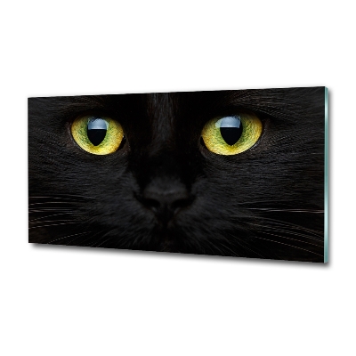 Cuadro decorativo de vidrio para salón horizontal ojos de gato