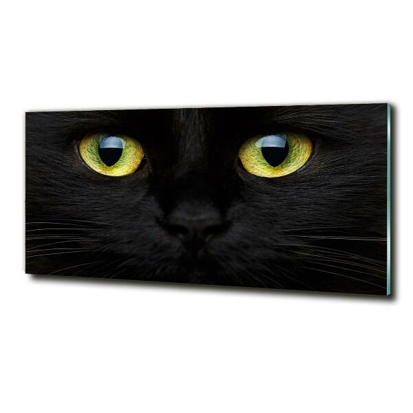 Cuadro decorativo de vidrio para salón horizontal ojos de gato