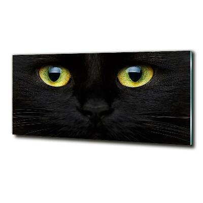 Cuadro decorativo de vidrio para salón horizontal ojos de gato