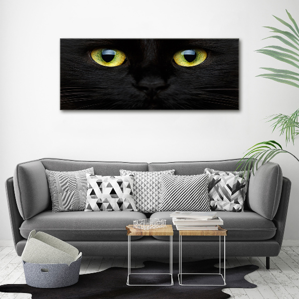 Cuadro decorativo de vidrio para salón horizontal ojos de gato