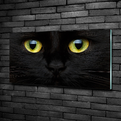 Cuadro decorativo de vidrio para salón horizontal ojos de gato