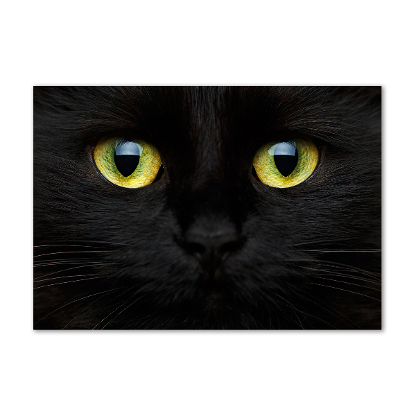 Cuadro decorativo de vidrio para salón horizontal ojos de gato