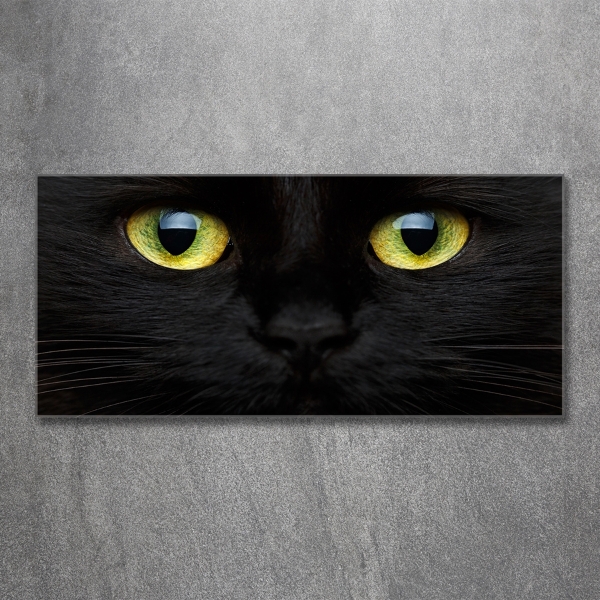 Cuadro decorativo de vidrio para salón horizontal ojos de gato