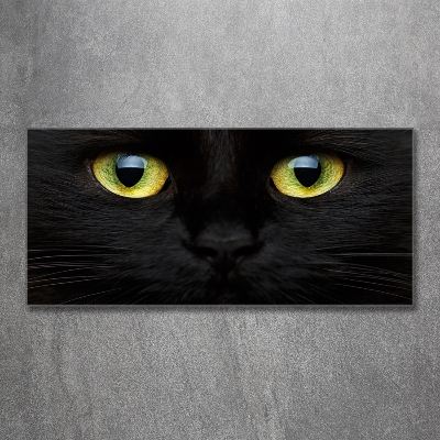 Cuadro decorativo de vidrio para salón horizontal ojos de gato