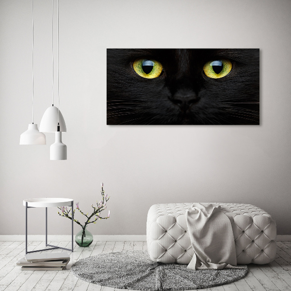 Cuadro decorativo de vidrio para salón horizontal ojos de gato
