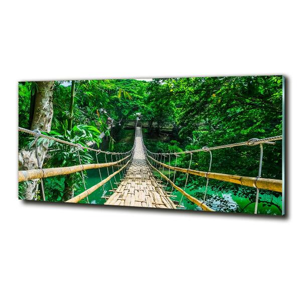 Cuadro de cristal templado moderno horizontal Puente de la selva tropical