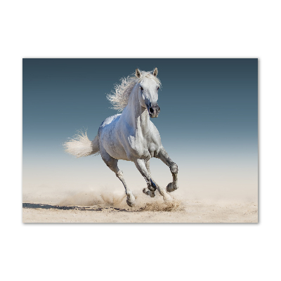 Impresión en cristal con acabado brillante horizontal Un caballo blanco galopando