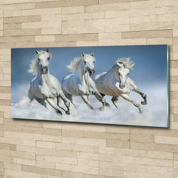 Cuadro decorativo de vidrio para salón horizontal Caballos al galope
