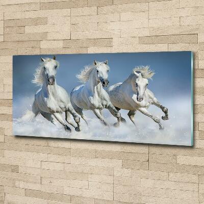 Cuadro decorativo de vidrio para salón horizontal Caballos al galope