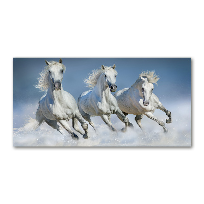Cuadro decorativo de vidrio para salón horizontal Caballos al galope