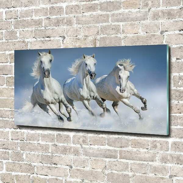 Cuadro decorativo de vidrio para salón horizontal Caballos al galope