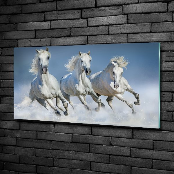 Cuadro decorativo de vidrio para salón horizontal Caballos al galope