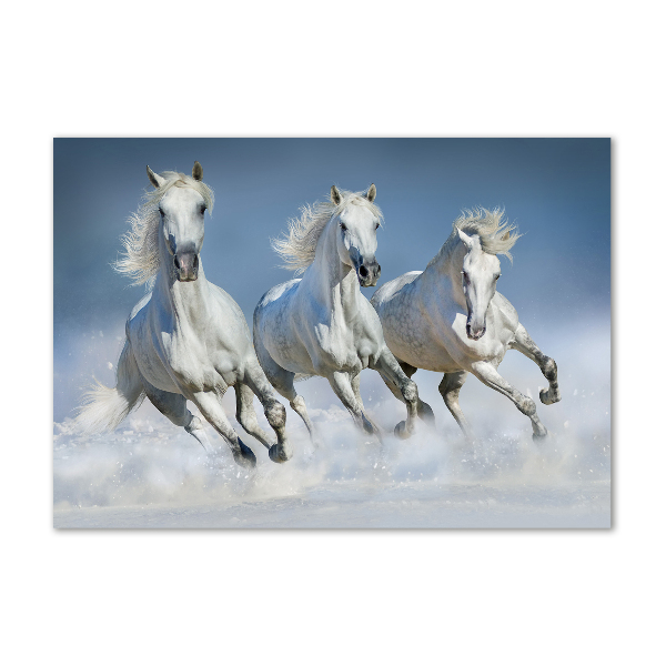Cuadro decorativo de vidrio para salón horizontal Caballos al galope