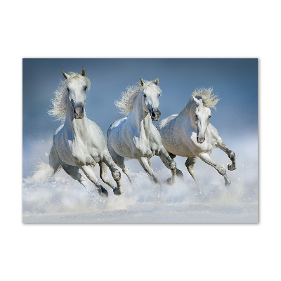 Cuadro decorativo de vidrio para salón horizontal Caballos al galope