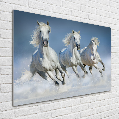 Cuadro decorativo de vidrio para salón horizontal Caballos al galope