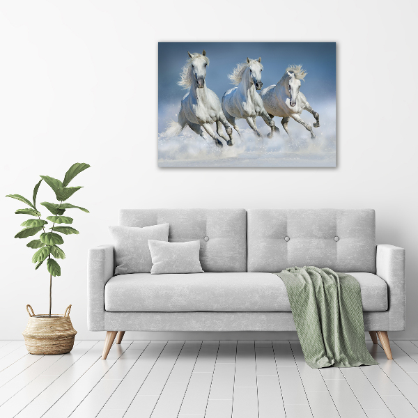 Cuadro decorativo de vidrio para salón horizontal Caballos al galope