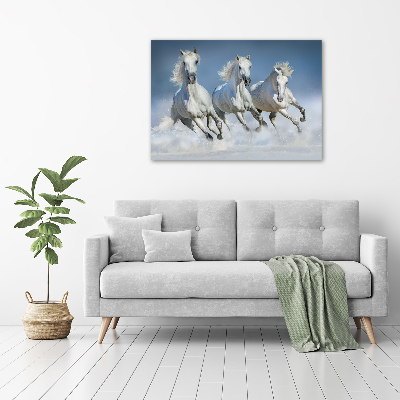 Cuadro decorativo de vidrio para salón horizontal Caballos al galope