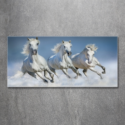 Cuadro decorativo de vidrio para salón horizontal Caballos al galope