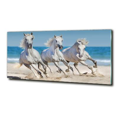 Foto en cristal de alta calidad con impresión uv horizontal Playa de los Caballos Blancos