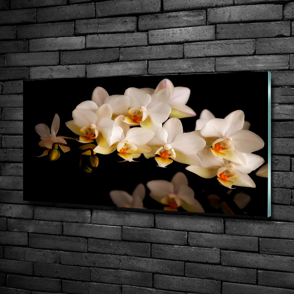Cuadro decorativo de vidrio para salón horizontal Orquídea