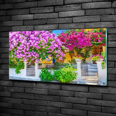 Foto en cristal de alta calidad con impresión uv horizontal Casa con buganvillas