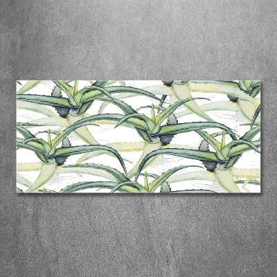 Impresión en cristal con acabado brillante horizontal Áloe