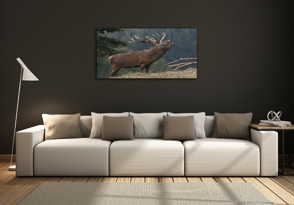 Impresión en cristal con acabado brillante horizontal Ciervos en la colina