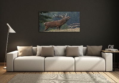 Impresión en cristal con acabado brillante horizontal Ciervos en la colina