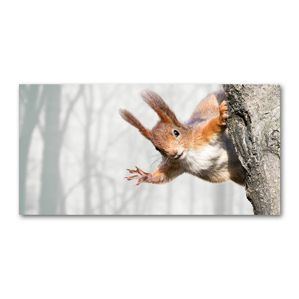 Cuadro decorativo de vidrio para salón horizontal Ardilla